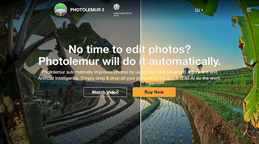 photolemur