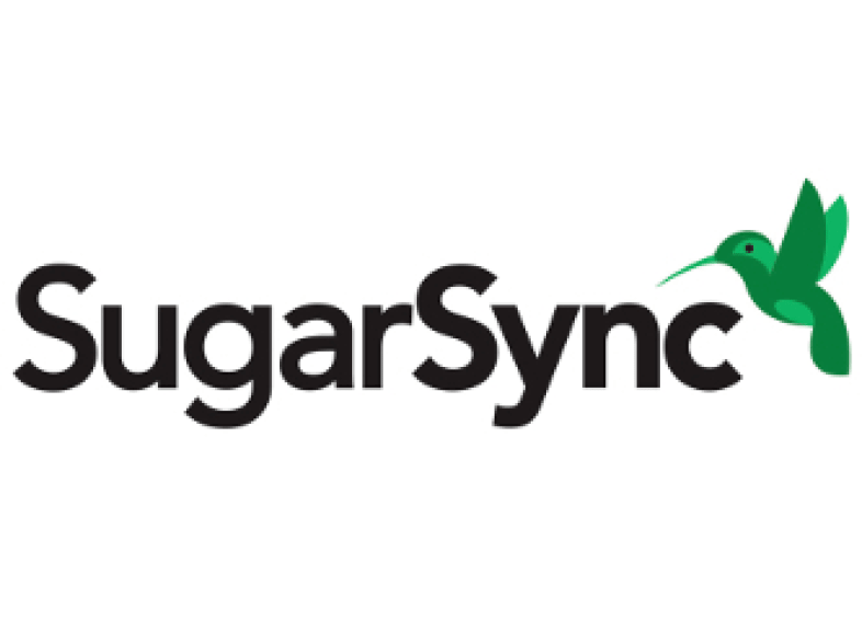alternatives to sugarsync