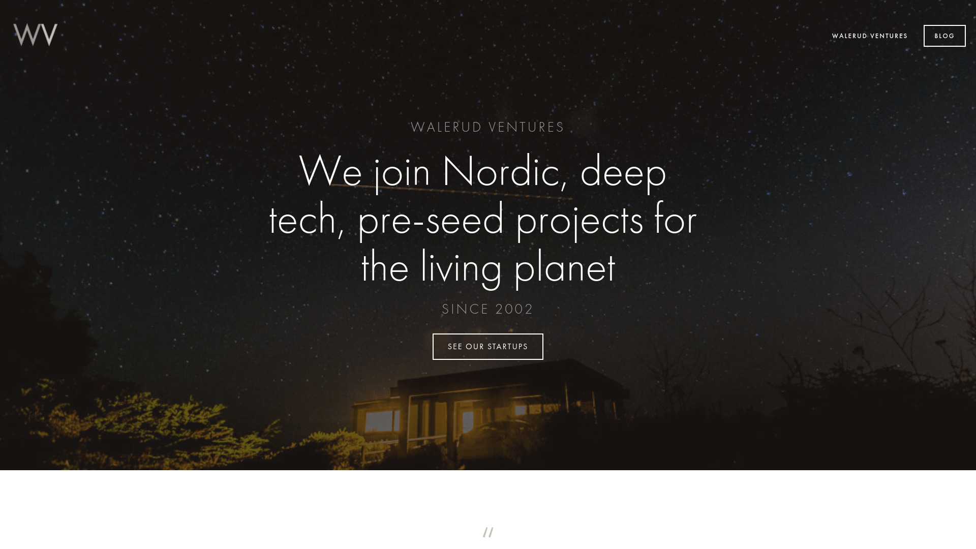 Screenshot of the Walerud Ventures website.