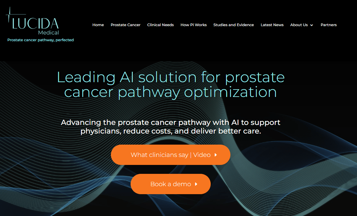 lucida homepage