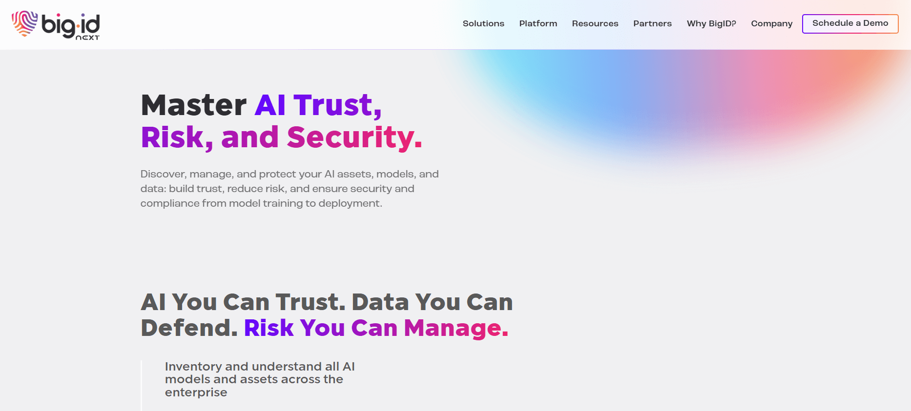 bigid homepage