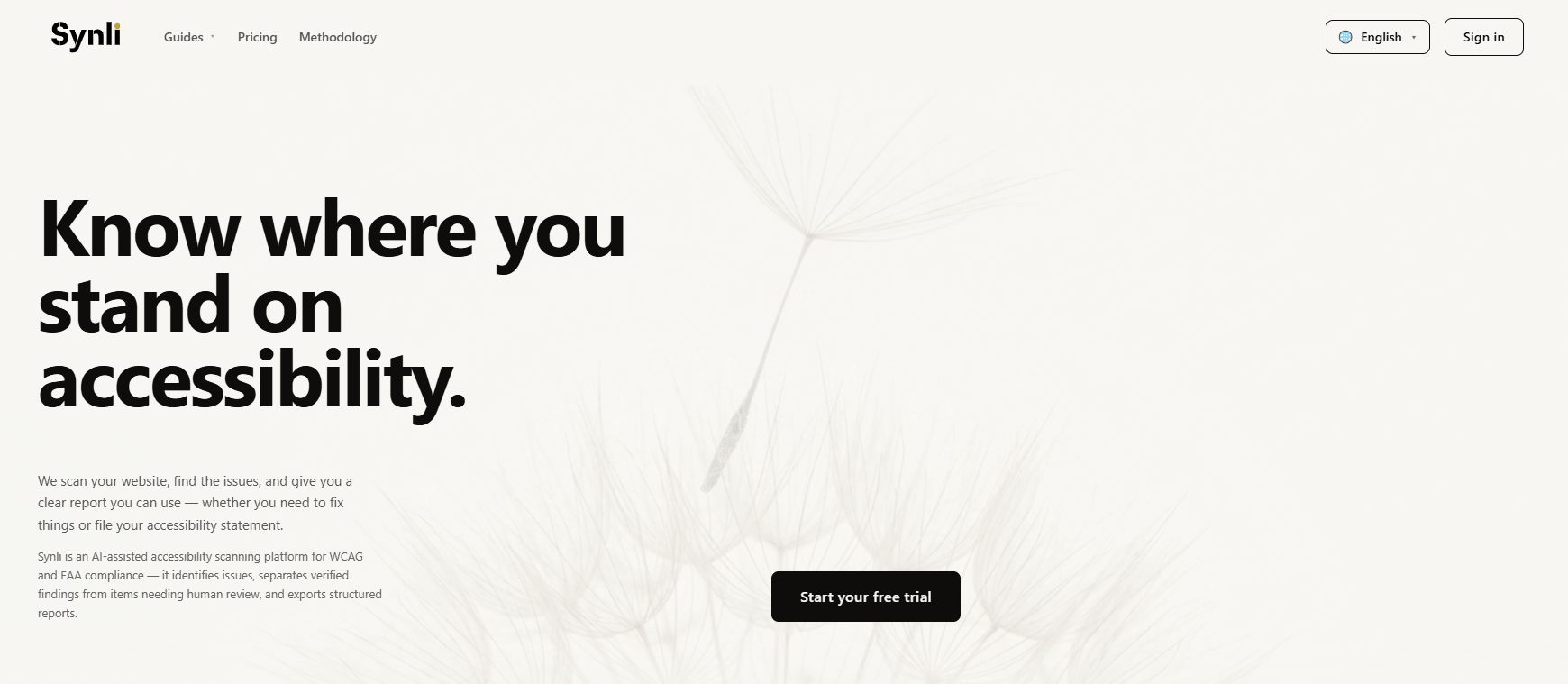 synli homepage
