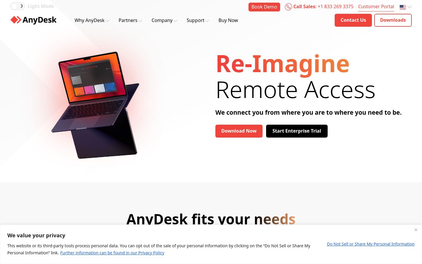 AnyDesk
