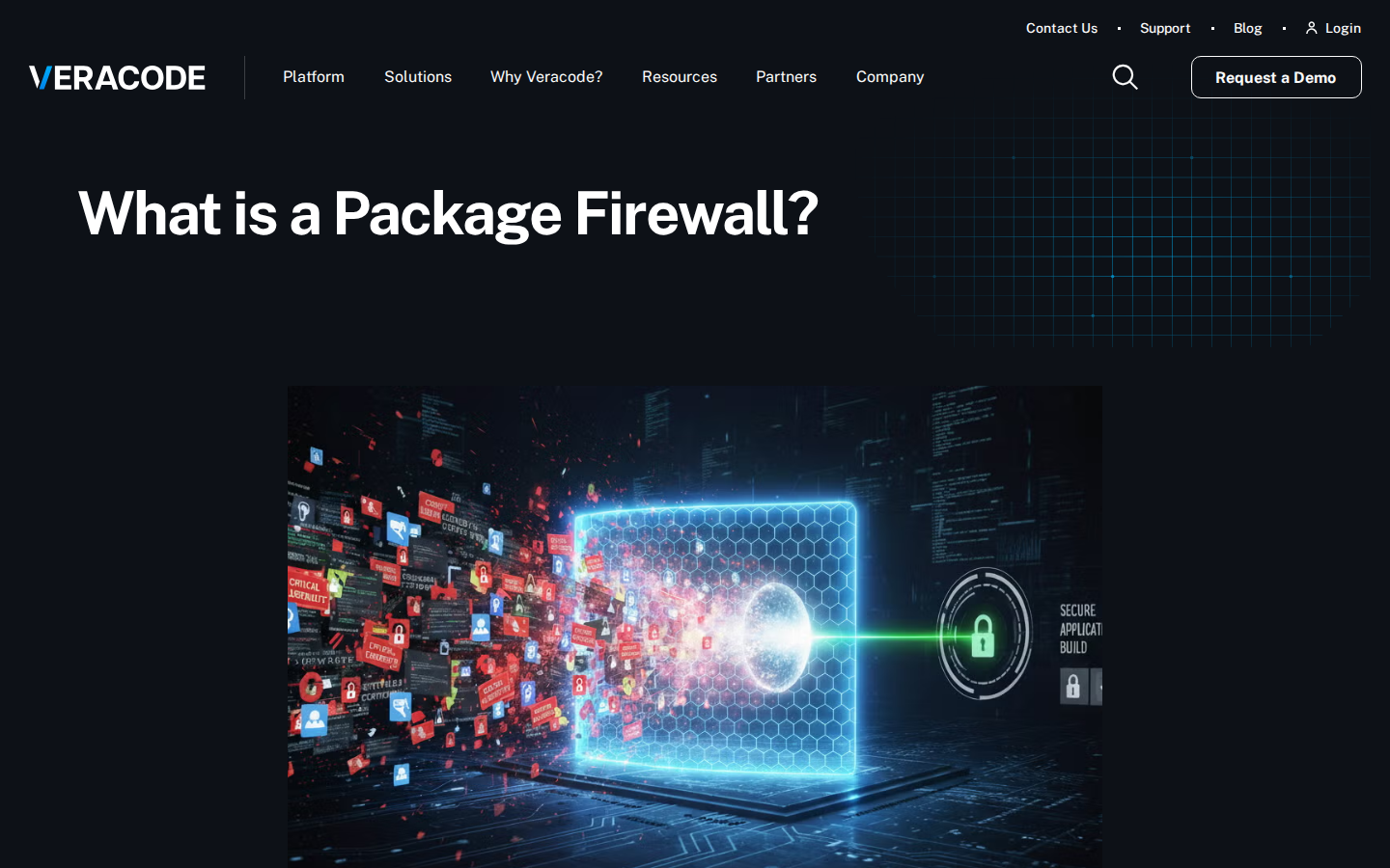 Veracode Package Firewall (Phylum)